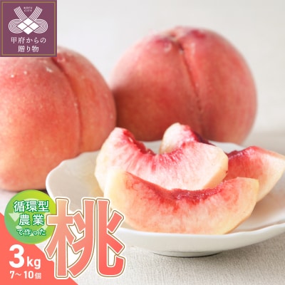 【2026年配送分】甲府市産自然塾の桃3kg