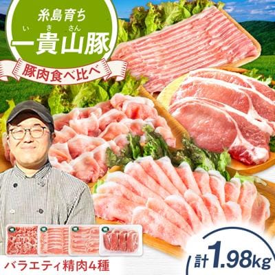 一貴山豚 精肉バラエティセット 計1980g 糸島市/いきさん牧場 豚肉 [AGB065]