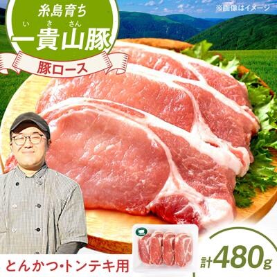一貴山豚 ロースとんかつ・トンテキ用 計480g(120g×4枚) /いきさん牧場 [AGB030]