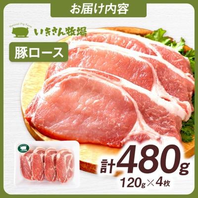 一貴山豚 ロースとんかつ・トンテキ用 計480g(120g×4枚) /いきさん牧場 [AGB030]