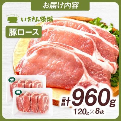 一貴山豚 ロースとんかつ・トンテキ用 計960g(120g×8枚) /いきさん牧場[AGB031]