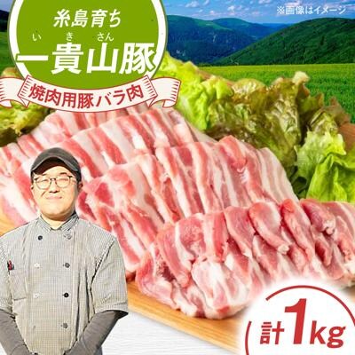 一貴山豚 焼肉用バラ肉 計1kg(250g×4p) 糸島市/いきさん牧場 豚肉 [AGB035]