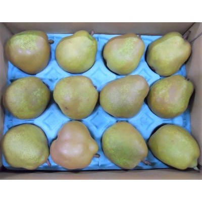 ラフランス 3kg ご家庭用 8~12玉 4L~L 西洋梨 ラ・フランス 0017-2615