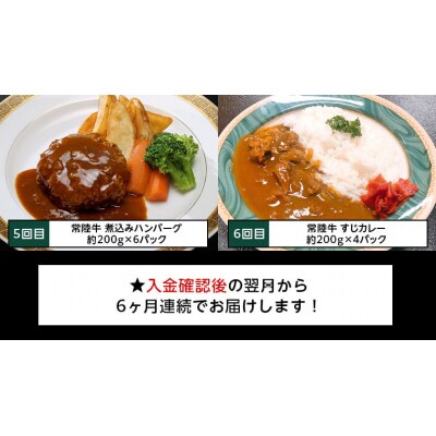 【茨城県共通返礼品】【定期便 6回コース】常陸牛 食べ尽くし 6ヶ月連続でお届け [AU035ya]