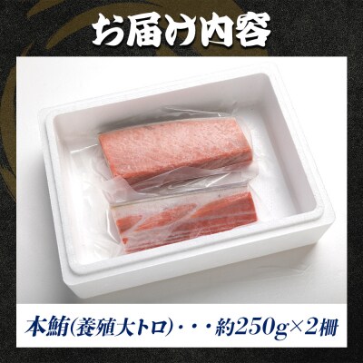 本マグロ 大トロ 2冊 養殖 約500g oo-0018