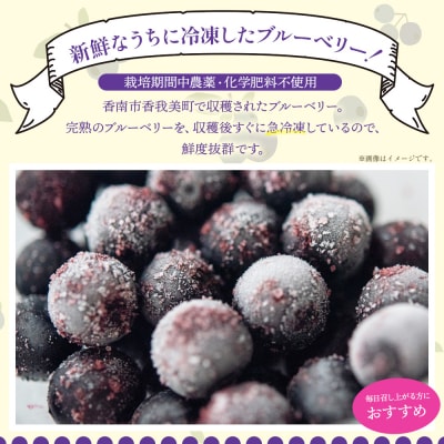 完熟 冷凍ブルーベリー 約600g(200g×3) 小分け yg-0027
