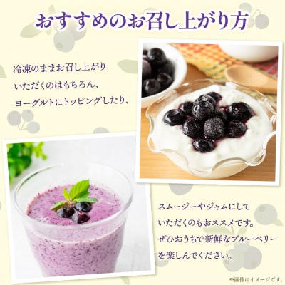 完熟 冷凍ブルーベリー 約600g(200g×3) 小分け yg-0027