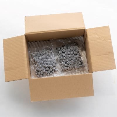 完熟 冷凍ブルーベリー 約600g(200g×3) 小分け yg-0027