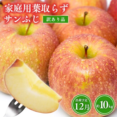 12月 訳あり 家庭用葉取らずサンふじりんご 約10kg【森山商店・青森県産・青森りんご・12月】
