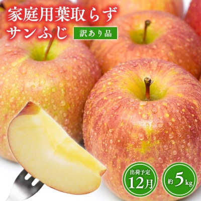 12月 訳あり 家庭用葉取らずサンふじりんご 約5kg【森山商店・青森県産・青森りんご・12月】