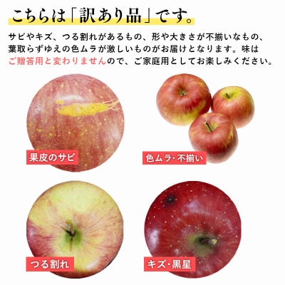 12月 訳あり 家庭用葉取らずサンふじりんご 約5kg【森山商店・青森県産・青森りんご・12月】
