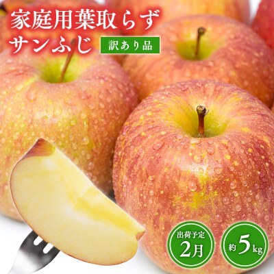 2月 訳あり 家庭用葉取らずサンふじりんご 約5kg【森山商店・青森県産・青森りんご・2月】