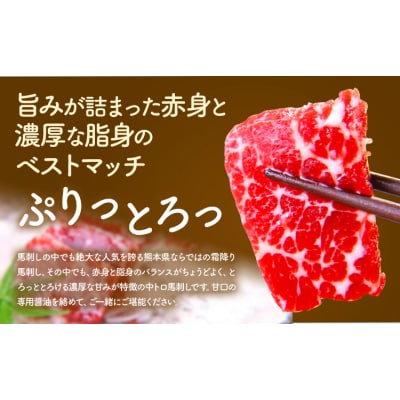 馬刺し 熊本 ならでは 霜降り馬刺し たっぷり 500g 《30日以内に出荷予定(土日祝除く)》