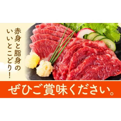 馬刺し 熊本 ならでは 霜降り馬刺し たっぷり 500g 《30日以内に出荷予定(土日祝除く)》