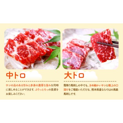 馬刺し 馬刺し 6種 食べ比べ 280g 《30日以内に出荷予定(土日祝除く)》 