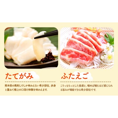 馬刺し 馬刺し 6種 食べ比べ 280g 《30日以内に出荷予定(土日祝除く)》 