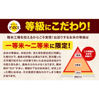 令和7年産 ひのひかり 白米 10kg 《1-5日以内に出荷予定(土日祝除く)》 