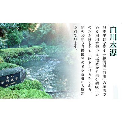 【12ヶ月定期便】ミネラルウォーター 500ml×24本入1ケース 《申込み翌月から発送》