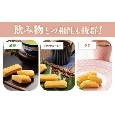 濃厚生チーズケーキ 1592 ヒゴクニ 10個入り  《30日以内に出荷予定(土日祝除く)》 