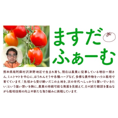 ミニトマト アイコ 約2kg ますだふぁーむ《7月上旬-11月末頃出荷》