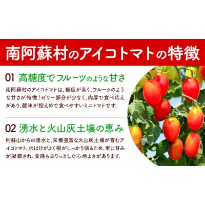 ミニトマト アイコ 約2kg ますだふぁーむ《7月上旬-11月末頃出荷》