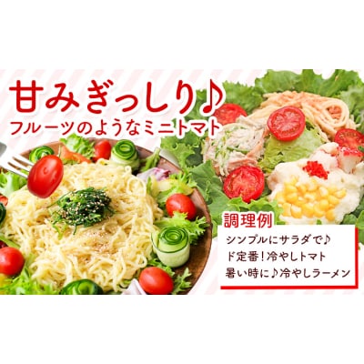 ミニトマト アイコ 約3kg ますだふぁーむ《7月上旬-11月末頃出荷》