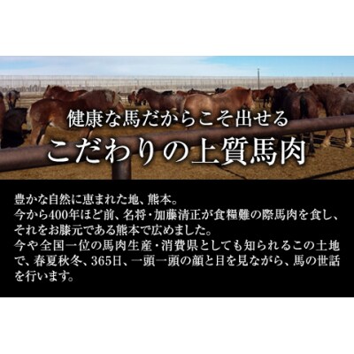 大トロ馬刺し(50g)中トロ(霜降り)馬刺し(50g)《30日以内に出荷予定(土日祝除く)》