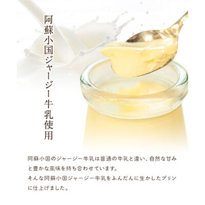 プリン専門店 キャラメルプディング プリン3種×3個セット《60日以内に出荷予定(土日祝除く)》