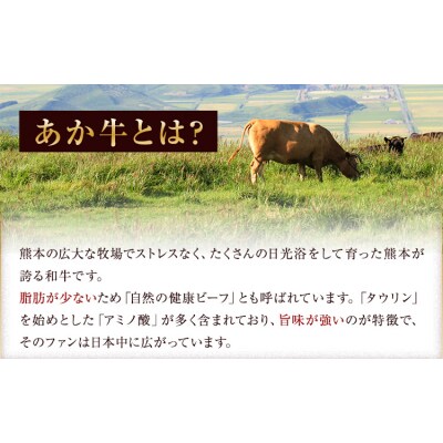 あか牛 赤身 サーロインステーキ 熊本県産 500g《30日以内に出荷予定(土日祝除く)》