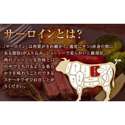 あか牛 赤身 サーロインステーキ 熊本県産 500g《30日以内に出荷予定(土日祝除く)》