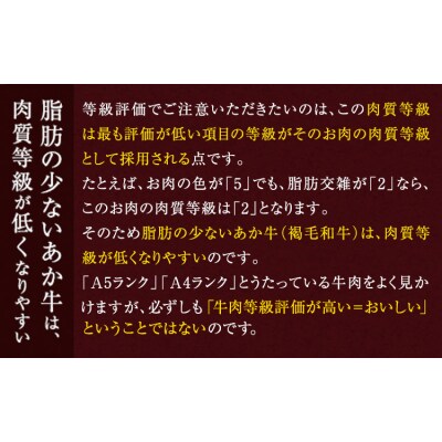 あか牛 赤身 サーロインステーキ 熊本県産 500g《30日以内に出荷予定(土日祝除く)》