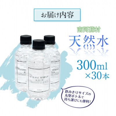 天然水 300mlボトル×30本(スタイリッシュラベル)《30日以内に出荷予定(土日祝除く)》 