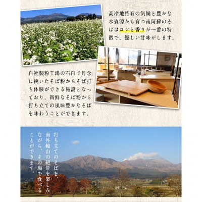 『金箔付き』自然豊かな南阿蘇の粗挽きそば 8袋 《90日以内に出荷予定(土日祝除く)》