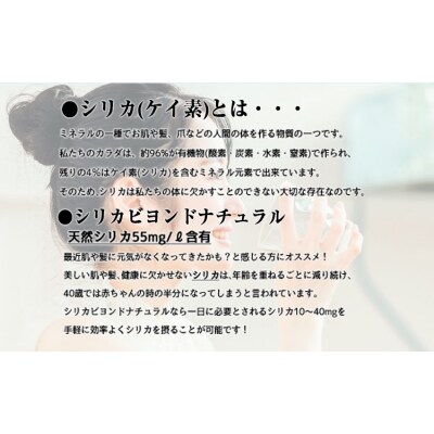 シリカビヨンドナチュラルラベルレス300ml×20本入 《90日以内に出荷予定(土日祝除く)》