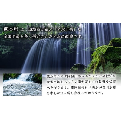 シリカビヨンドナチュラル300ml×20本入 《90日以内に出荷予定(土日祝除く)》