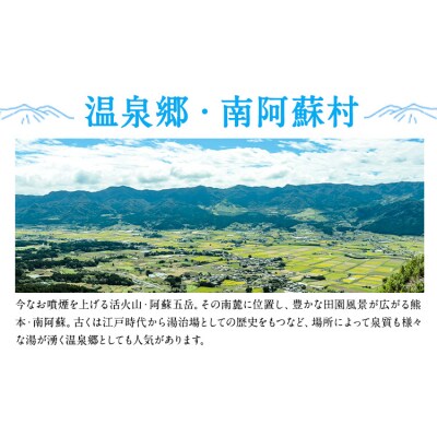 宿を選べる南阿蘇ペア平日1泊2食付き宿泊券/梅プラン《30日以内に出荷予定(土日祝除く)》