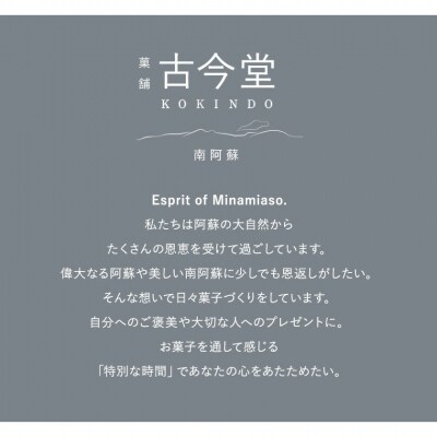 濃厚生 チーズケーキ 1592 ヒゴクニ 16個入り 《30日以内に出荷予定(土日祝除く)》