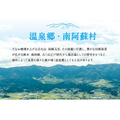 熊本県南阿蘇村10施設で使える宿泊ギフト券10000円分《30日以内に出荷予定(土日祝除く)》