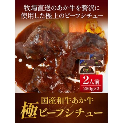 あか牛 極ビーフシチュー 2人前 250g × 2  《60日以内に出荷予定(土日祝除く)》