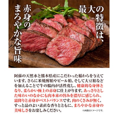 あか牛 極ビーフシチュー 2人前 250g × 2  《60日以内に出荷予定(土日祝除く)》