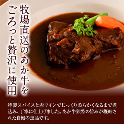 あか牛 極ビーフシチュー 2人前 250g × 2  《60日以内に出荷予定(土日祝除く)》