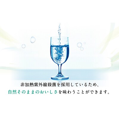 【12ヶ月定期便(2ヶ月ごと発送)】「南阿蘇・白川水源」 2L×6本入2ケース