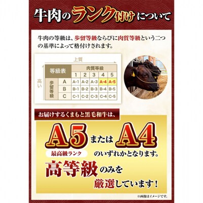 くまもと黒毛和牛 希少部位 6種盛り合わせ 500g《30日以内に出荷予定(土日祝除く)》