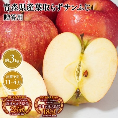 11月～4月発送　贈答用葉とらずサンふじ3kg　【そと川りんご園・りんご】