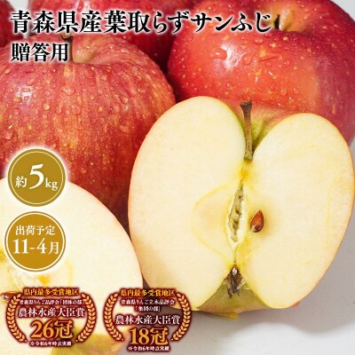 11月～4月発送　贈答用葉とらずサンふじ5kg　【そと川りんご園・りんご】