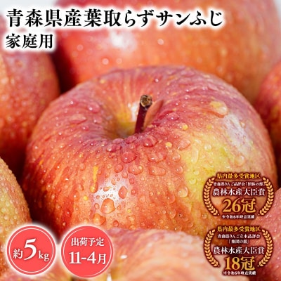11月～4月発送　【訳あり】家庭用葉とらずサンふじ5kg　【そと川りんご園・りんご】
