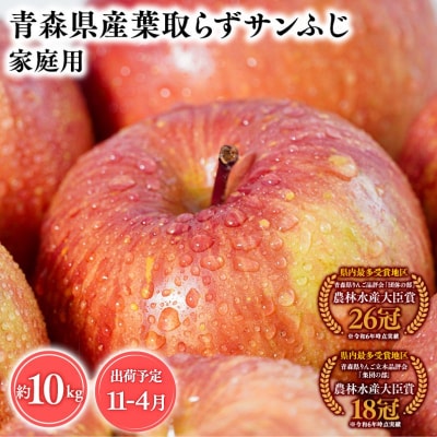 11月～4月発送　【訳あり】家庭用葉とらずサンふじ10kg　【そと川りんご園・りんご】