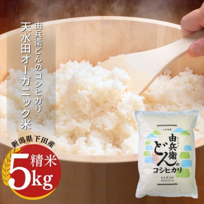 天水田で育った コシヒカリ 5kg 新潟県産  [由兵衛どん] 【012S080】
