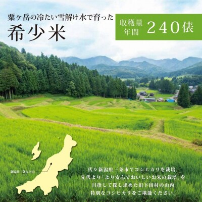 天水田で育った コシヒカリ 5kg 新潟県産  [由兵衛どん] 【012S080】