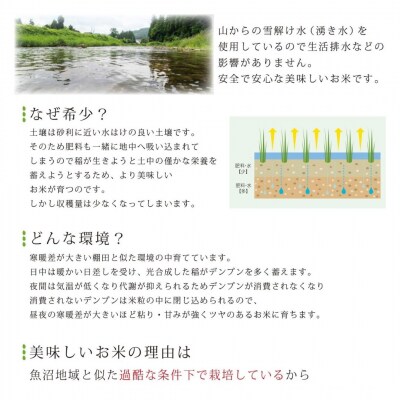 天水田で育った コシヒカリ 5kg 新潟県産  [由兵衛どん] 【012S080】